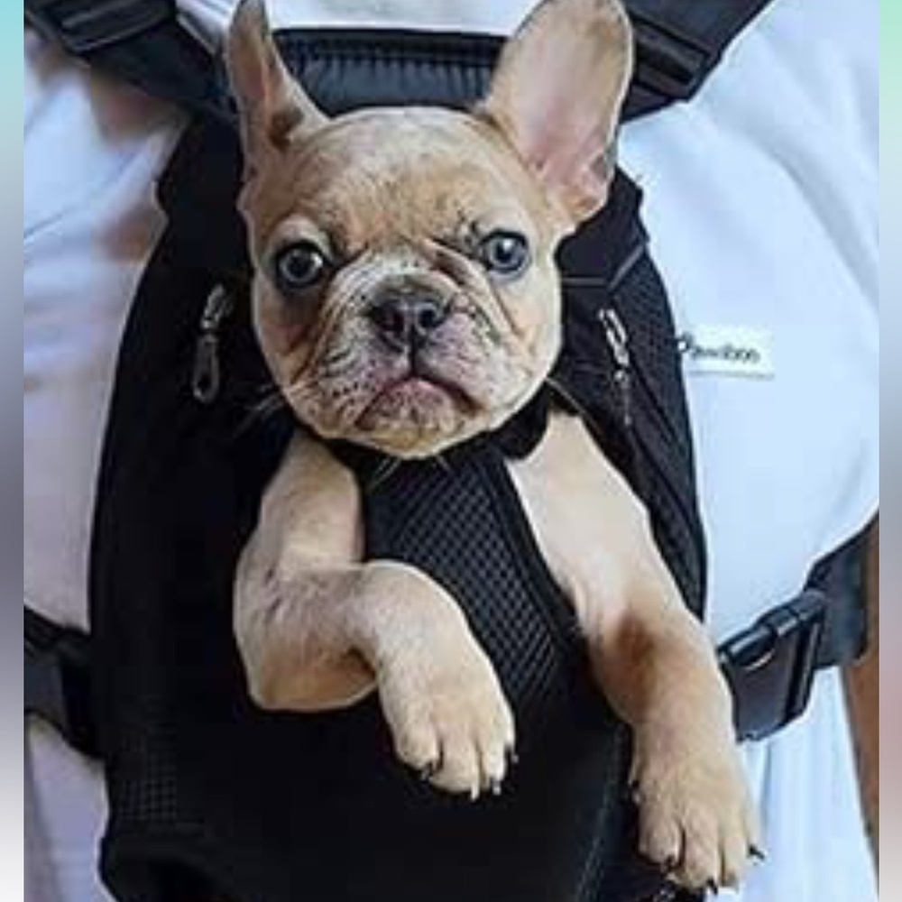 Pawaboo Carrier Backpack